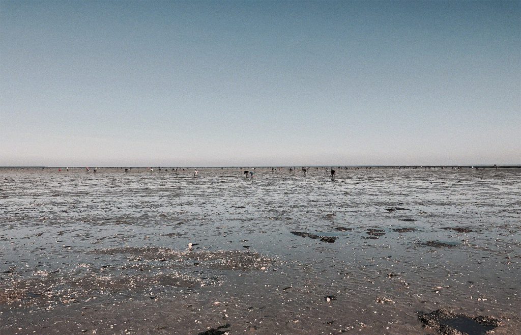Sans qu'il y ai foule, des pêcheurs à pied sont venus profiter de cette marée par cette belle journée d'automne - Noirmoutier Octobre 2021 - © Photographie Nicolas Renaud