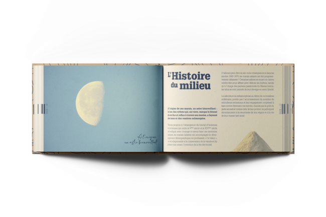 L&rsquo;histoire du milieu ©The French Maquis ArtuMilieu-CapAtlantique-LifeSallina-Natura2000-H-TheFrenchMaquisArt