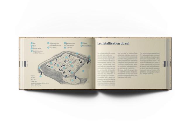 La cristalisation du sel ©The French Maquis Art