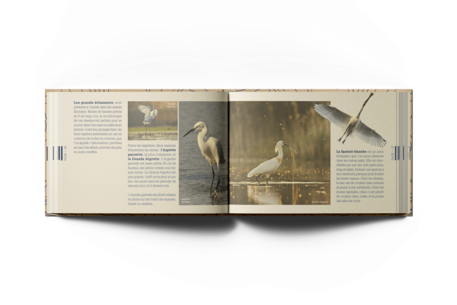 Les grand echassiers ©The French Maquis Art