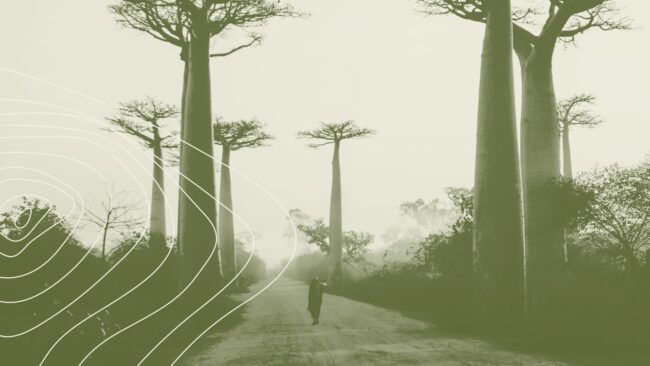 ©The French Maquis'Art