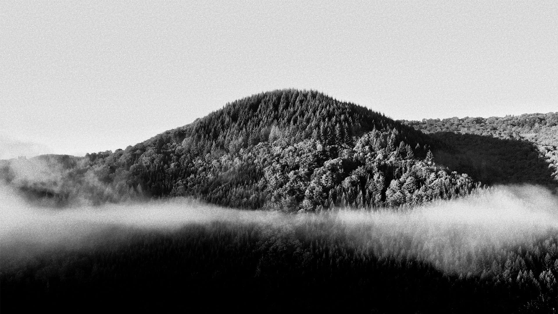 Colline boisée émergeant de la brume à Neuvéglise, dans le Cantal